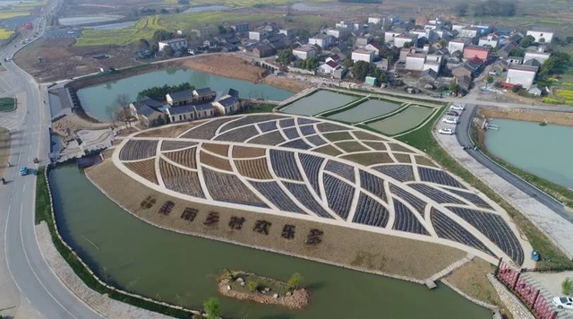 三瓜公社品牌价值评估